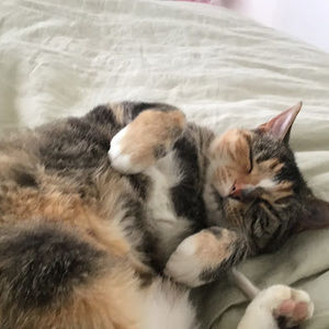 Meet your Posher, Billie